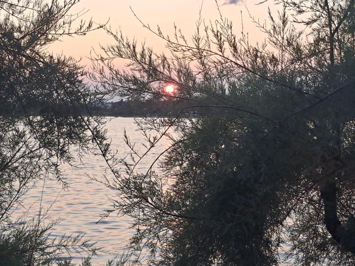 Gardelin Paklenica Appartement Seline